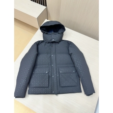 Louis Vuitton Down Jackets